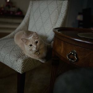 Meet your Posher, Infires